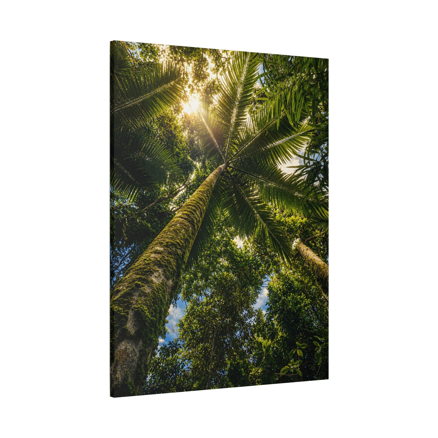 Tropical Palm Tree Canvas Wall Art — Matte Stretched Nature Print