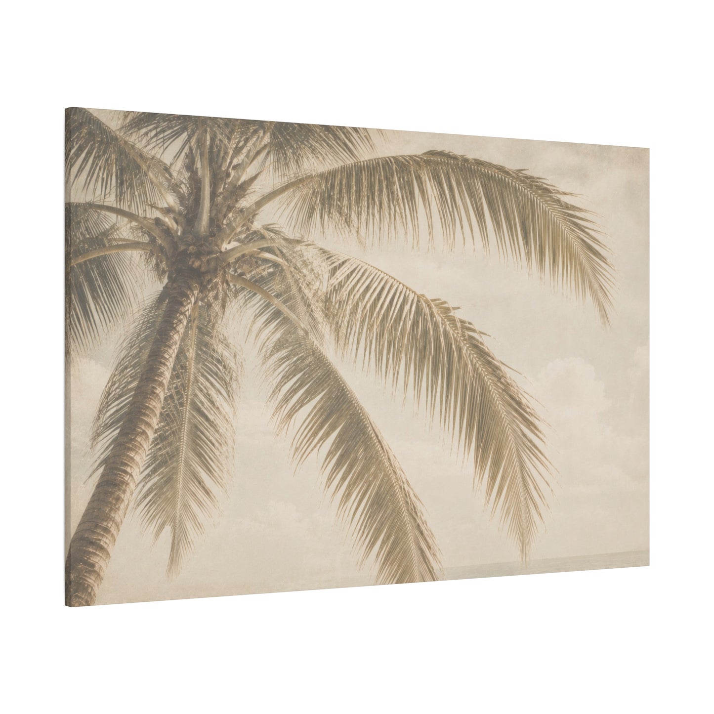 A rectangular canvas wall art print showing a close-up tropical palm tree in soft sepia tones against a pale sky, photographed on a clean white background.