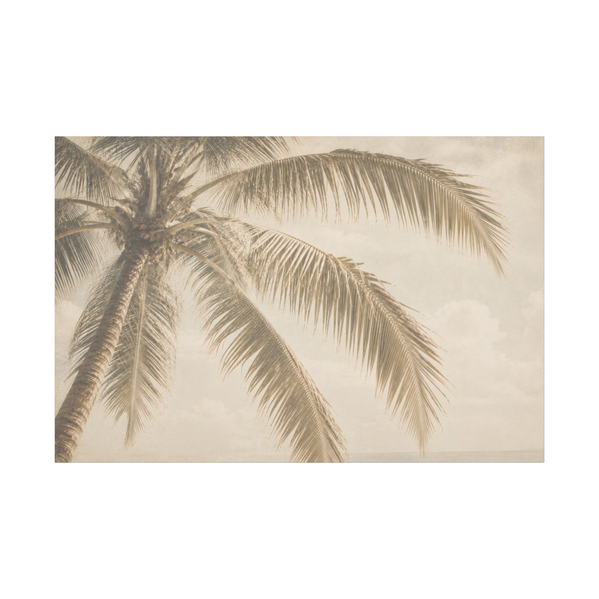A rectangular wall art print featuring a sepia-toned tropical palm tree against a pale sky, shown centered on a white background.