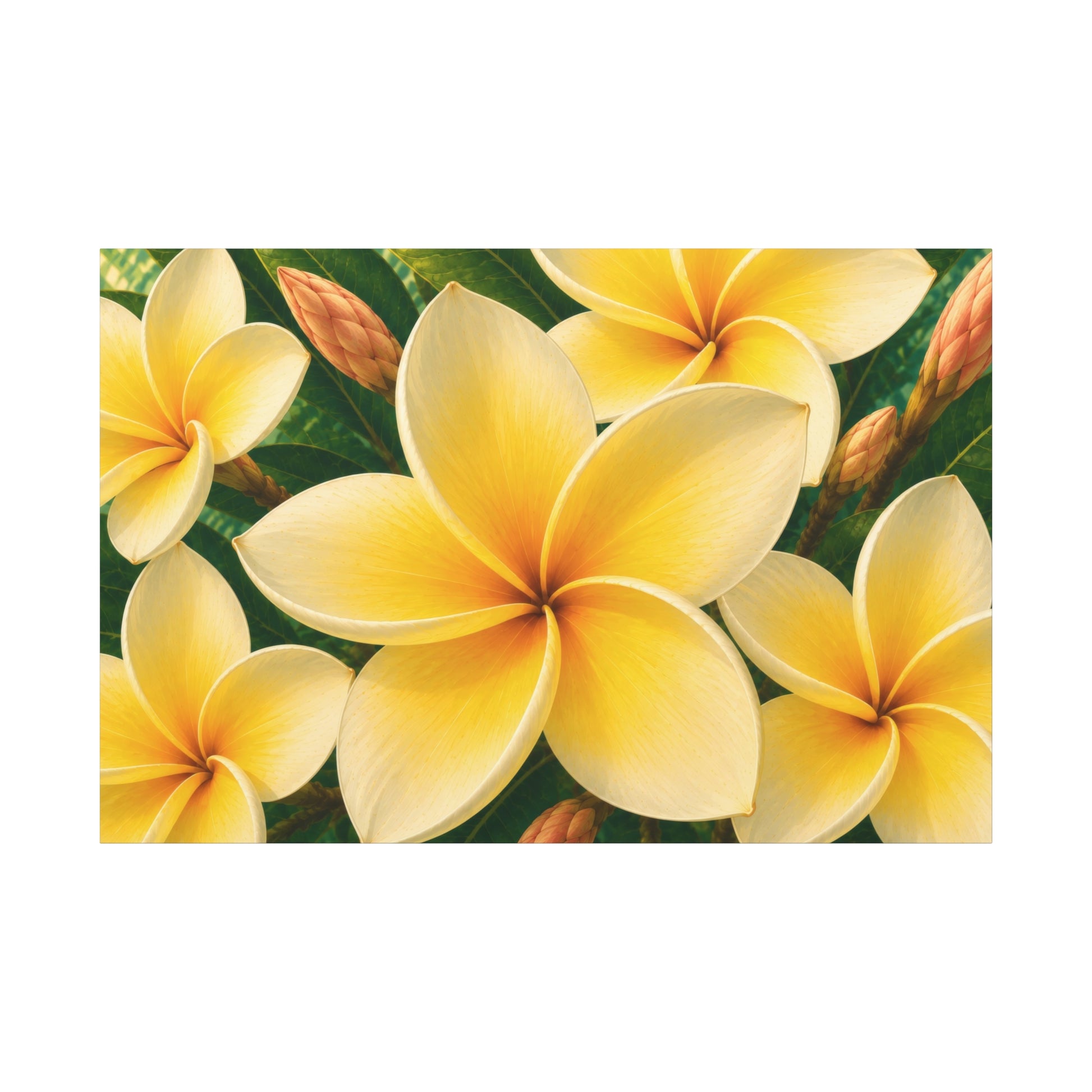 A rectangular floral artwork featuring bright yellow and cream plumeria flowers with green leaves and small brown buds, centered on a white background.