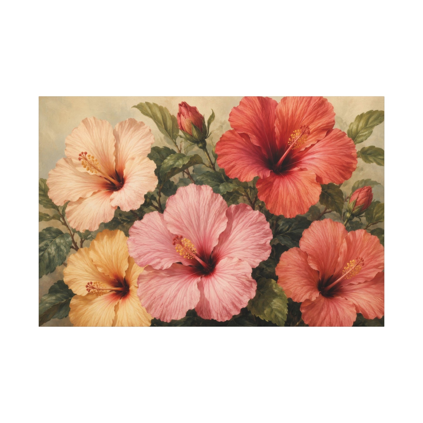 A rectangular floral artwork showing hibiscus flowers in soft peach, pink, coral, and pale yellow tones with green leaves on a cream background, centered on a white canvas.