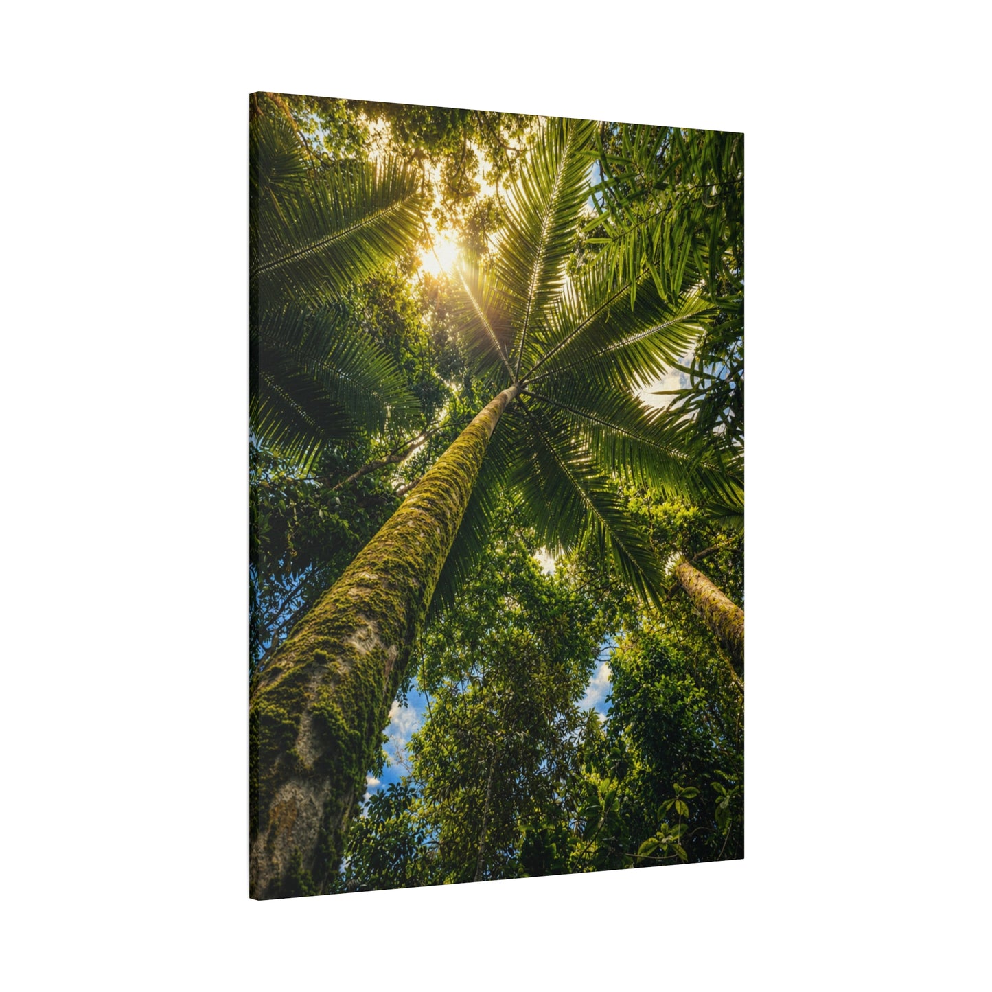 Tropical Palm Tree Canvas Wall Art — Matte Stretched Nature Print