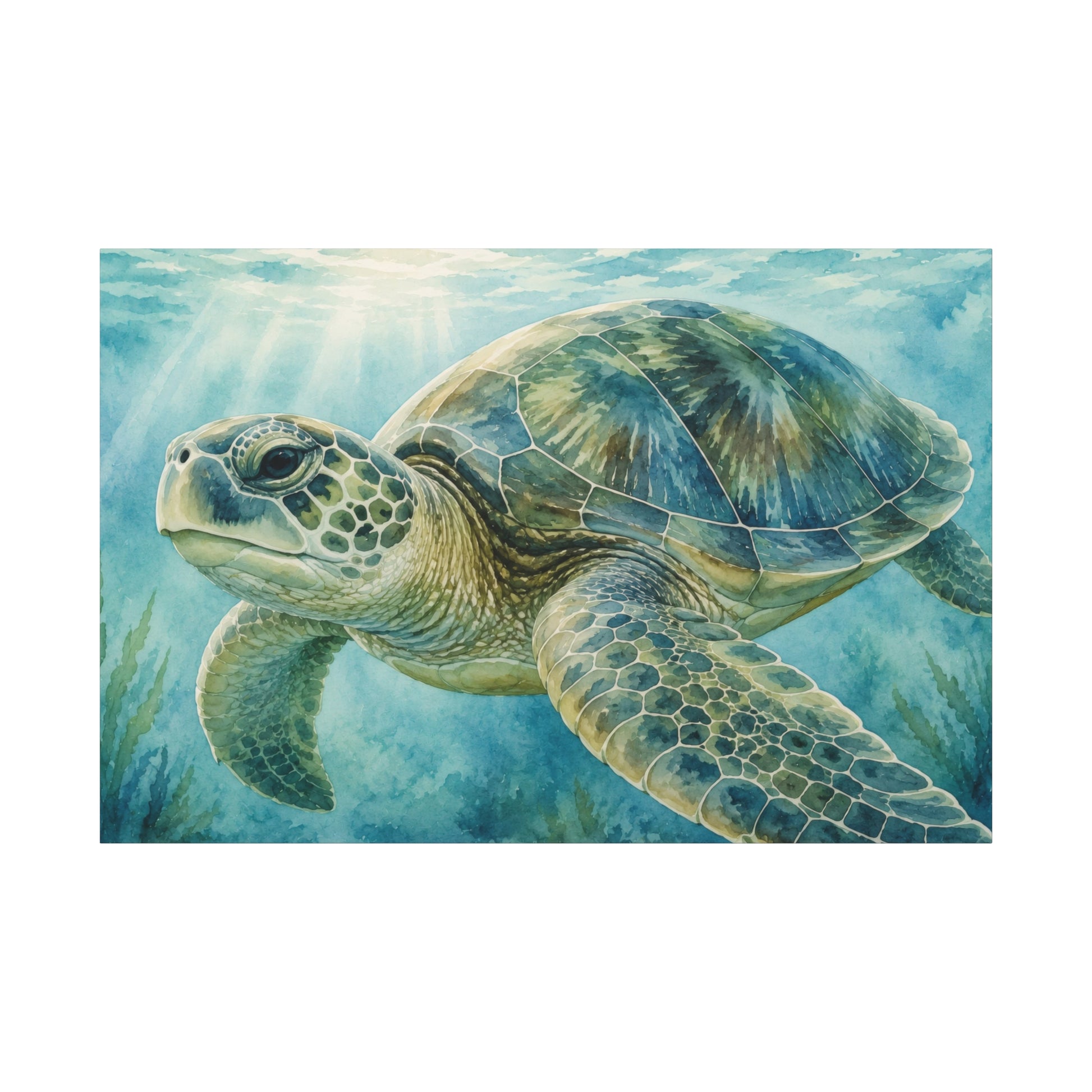 A square art print depicting a sea turtle swimming underwater, surrounded by blue-green water and light rays from above, shown against a white background.