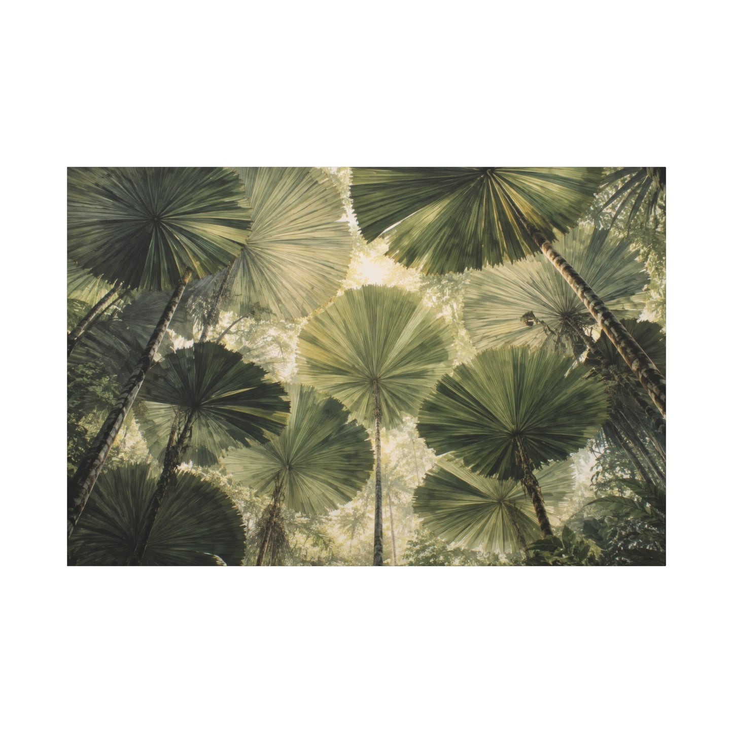 A rectangular wall art print showing an upward view of green palm-like fronds and tree trunks in a forest canopy, centered on a white background.